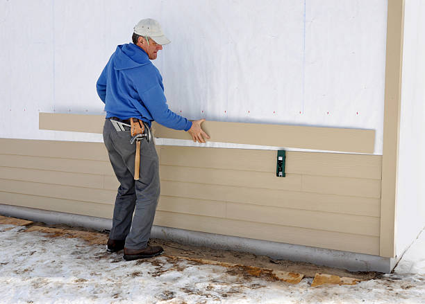 Best Vinyl Siding Installation  in Gman, IL
