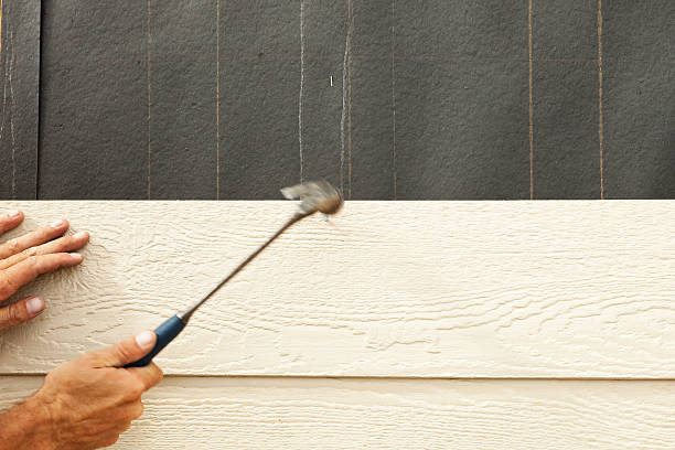 Best Historical Building Siding Restoration  in Gman, IL